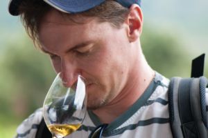 Photos de la vigne et du vin