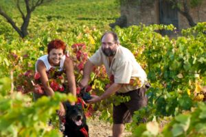 Photos de la vigne et du vin