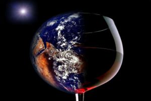 Photos de la vigne et du vin