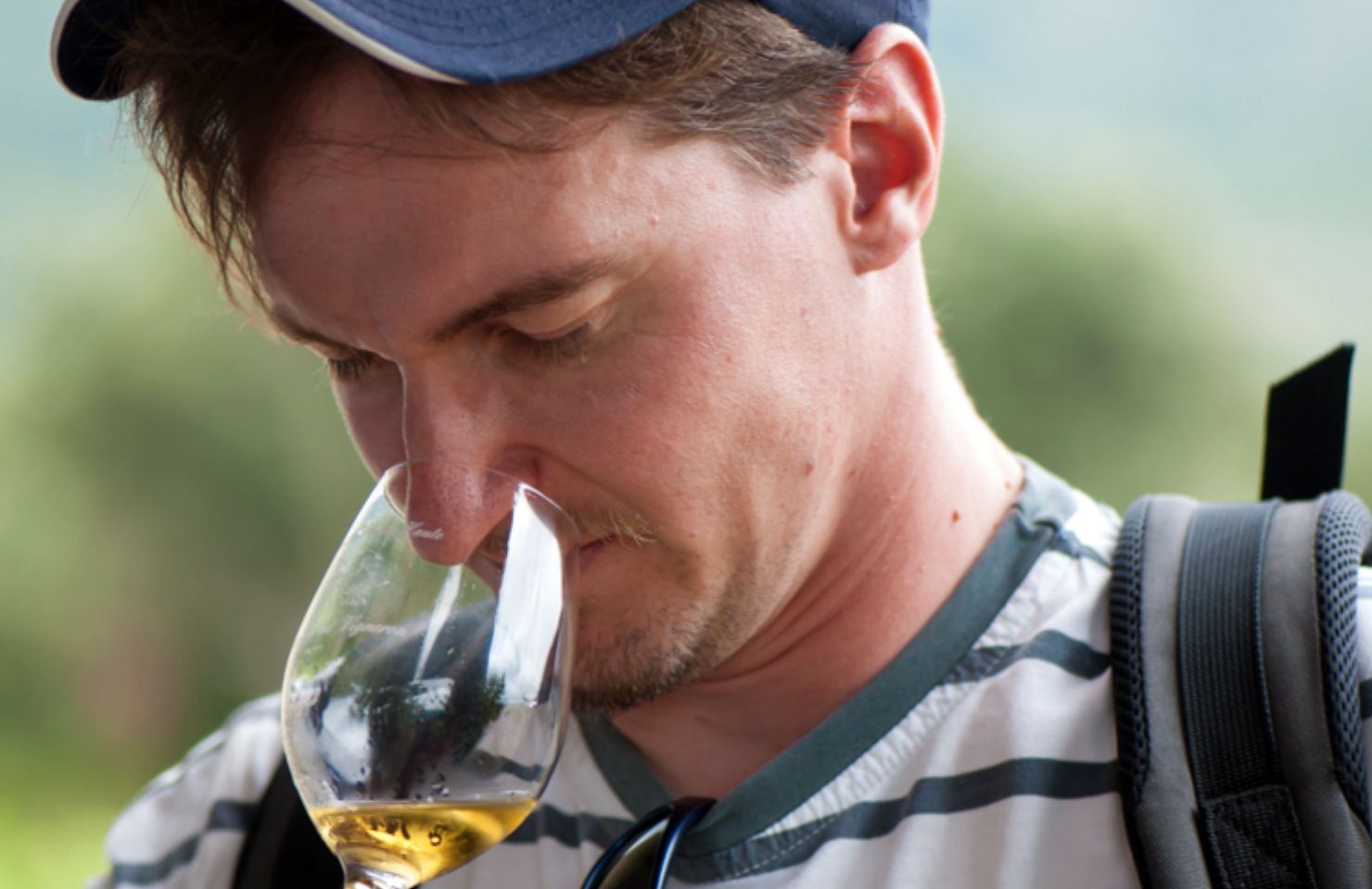 images de la vigne et du vin, photo © Alain Marquina