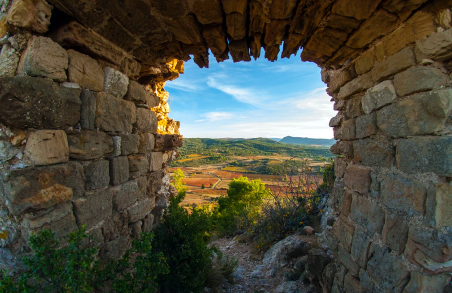 images de la vigne et du vin, photo © Alain Marquina