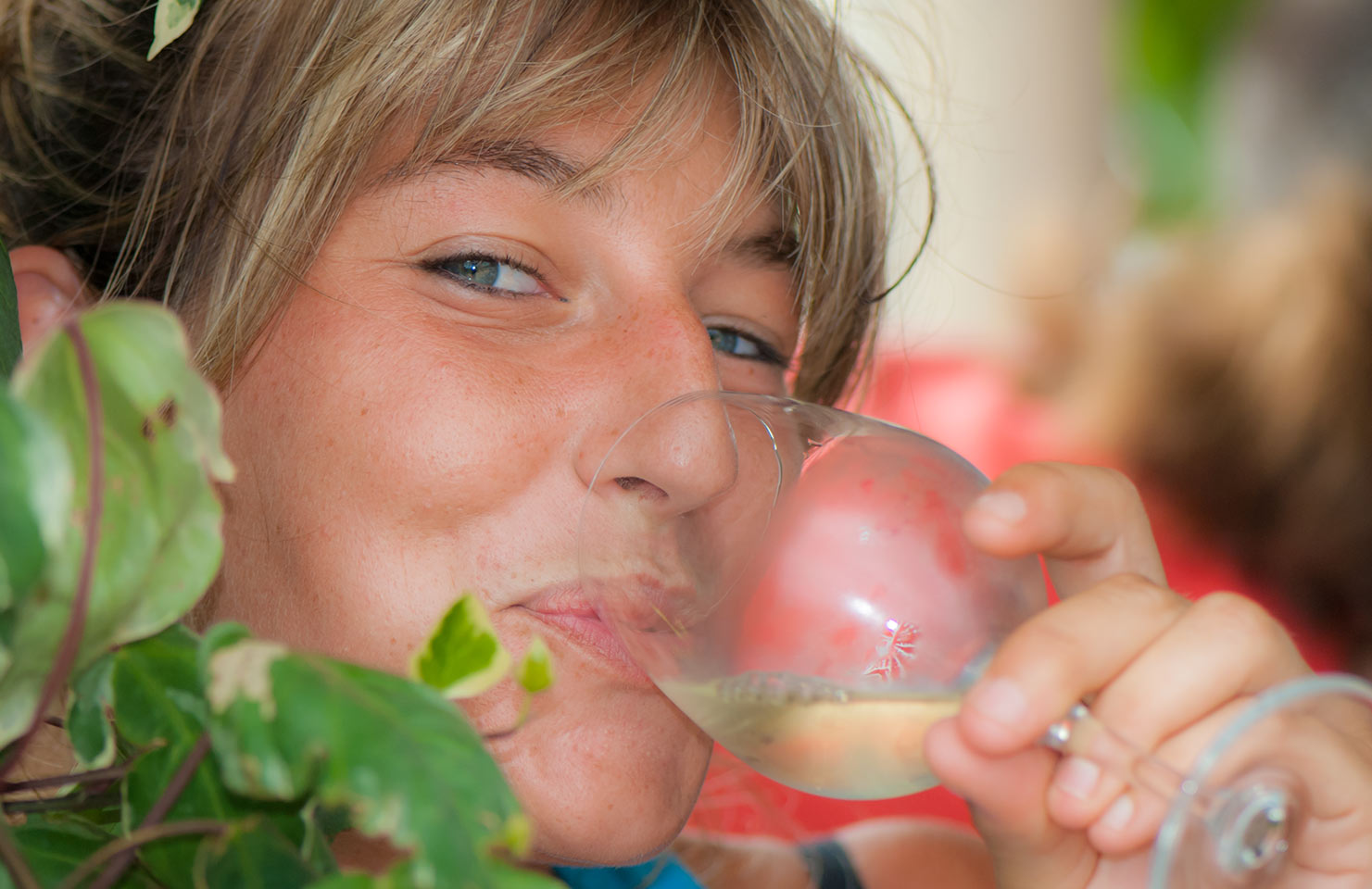 images de la vigne et du vin, photo © Alain Marquina