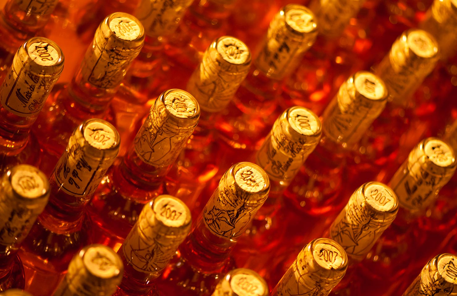 images de la vigne et du vin, photo © Alain Marquina