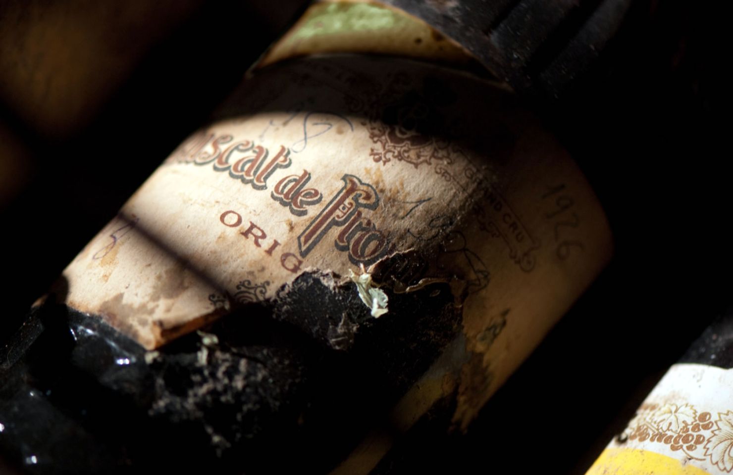 images de la vigne et du vin, photo © Alain Marquina