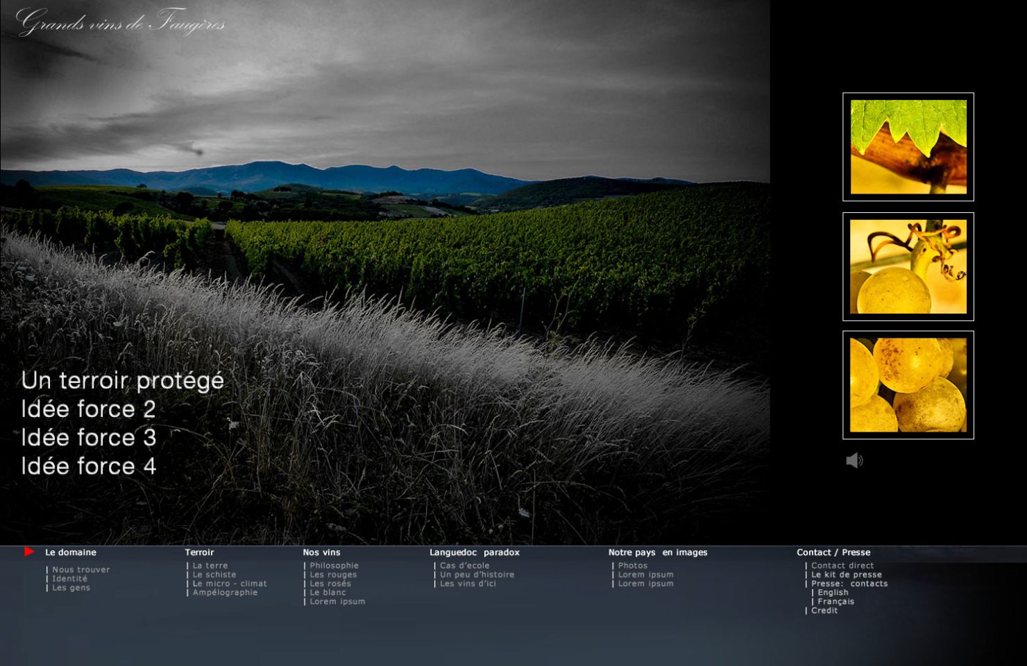 images de la vigne et du vin, photo © Alain Marquina